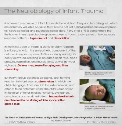 The Neurobiology of Infant Trauma